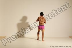 Elmer - Traditional Korean Art